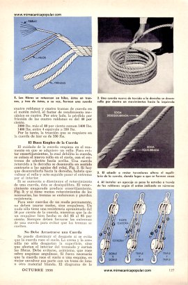 El Cuidado de las Cuerdas - Octubre 1956