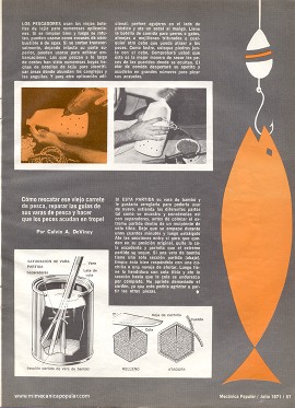 Consejos sobre pesca - Julio 1971