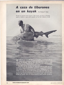 A caza de tiburones en un kayak - Agosto 1966