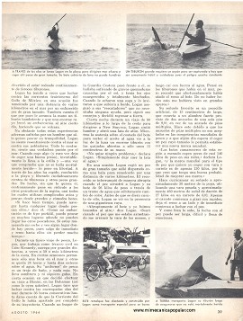 A caza de tiburones en un kayak - Agosto 1966