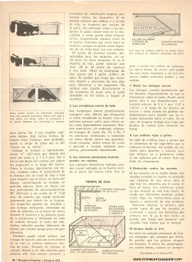 10 formas de proteger su huerto - Octubre 1976