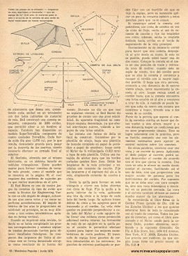 Haga sus Propios Cometas - Junio 1975
