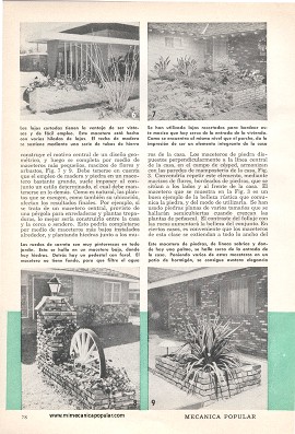 Maceteros Ornamentales - Junio 1960