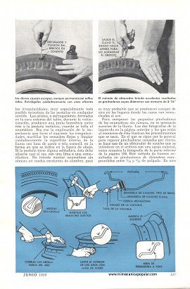 Reparación de Neumáticos Sin Cámara - Junio 1955