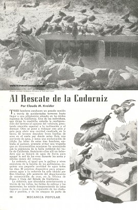 Al Rescate de la Codorniz - Junio 1951
