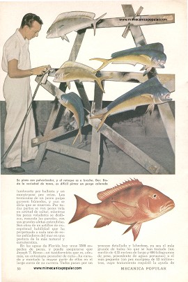 Donde el Esfuerzo de un Pescador Se Convierte en una Obra Maestra - Marzo 1957