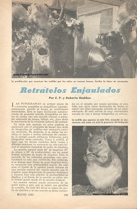 Fotografía: Retrátelos Enjaulados - Mayo 1955