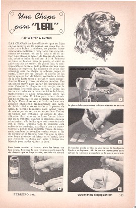 Una Chapa de Identificación para la Mascota - Febrero 1953
