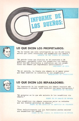 Informe de los Dueños: Neumáticos Sin Cámara