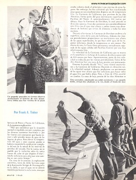 Bonanza de Pesca - Mayo 1962