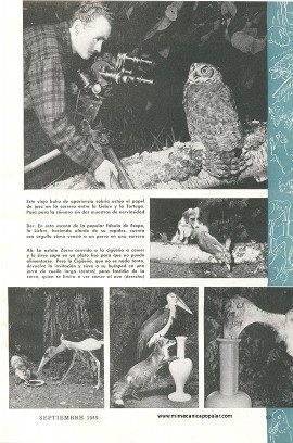 El cine presenta las Fábulas de Esopo - Septiembre 1949