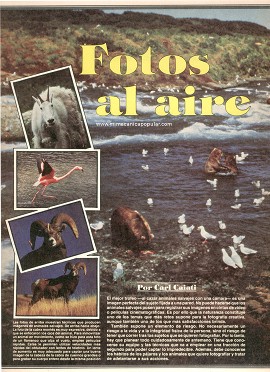Fotos al aire libre - Junio 1987