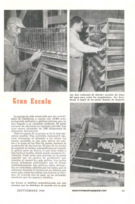 Producción de Huevos en Gran Escala - Septiembre 1949