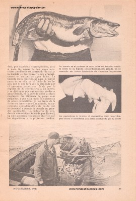 Cosecha de Vitaminas - Noviembre 1947
