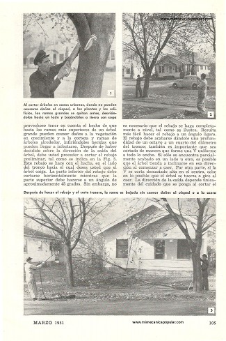 Cómo Cortar Arboles - Marzo 1951