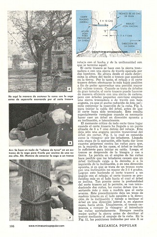 Cómo Cortar Arboles - Marzo 1951
