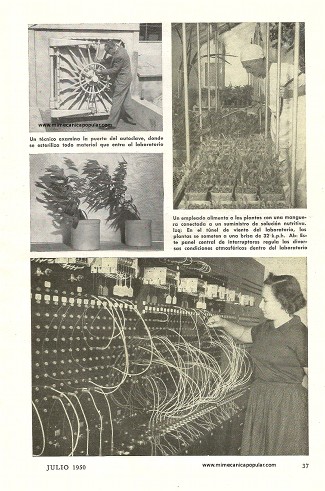 Moderno Laboratorio Botánico - Julio 1950