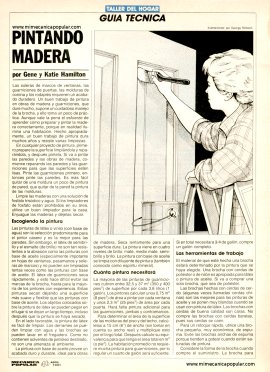PINTANDO MADERA - Abril 1991