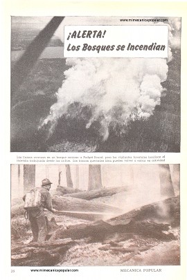 Los Bosques se Incendian - Agosto 1947