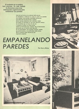 Empanelando Paredes - Agosto 1975